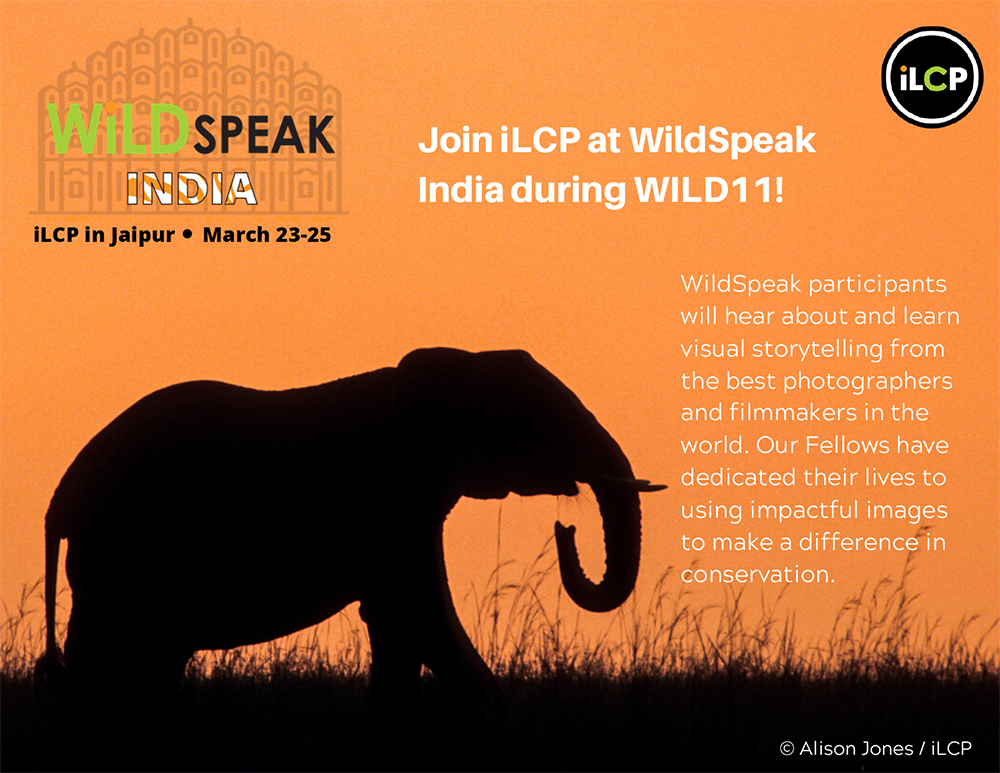 WildSpeak at WILD11